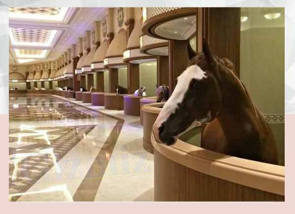 Dubais most well-known horse stables